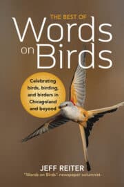 The Best of Words on Birds